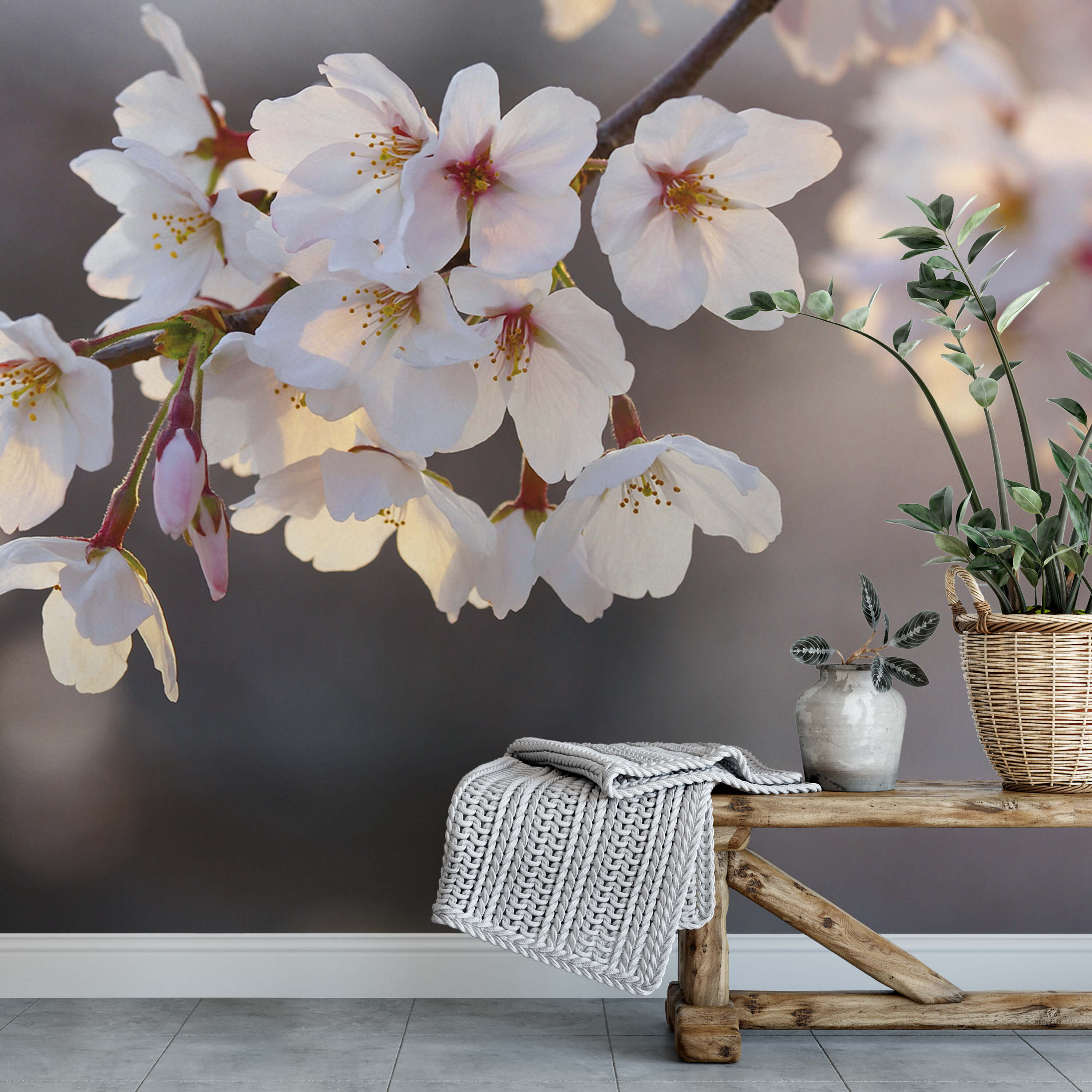 FOTOTAPETE CHERRY BLOSSOMS GROß für DIELE by AS CREATION