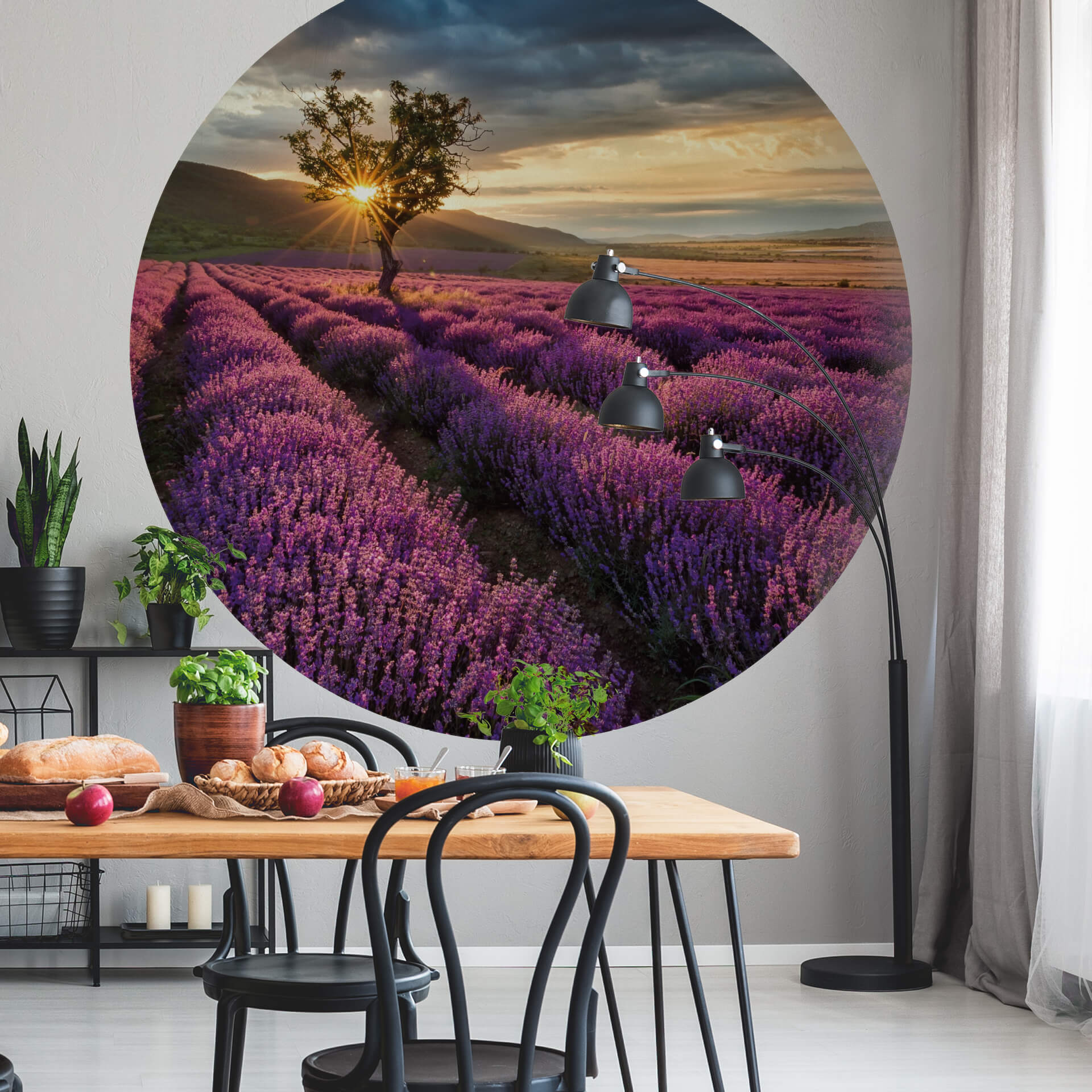 Fototapete Lavender in the Provence 1,4 x 1,4 m