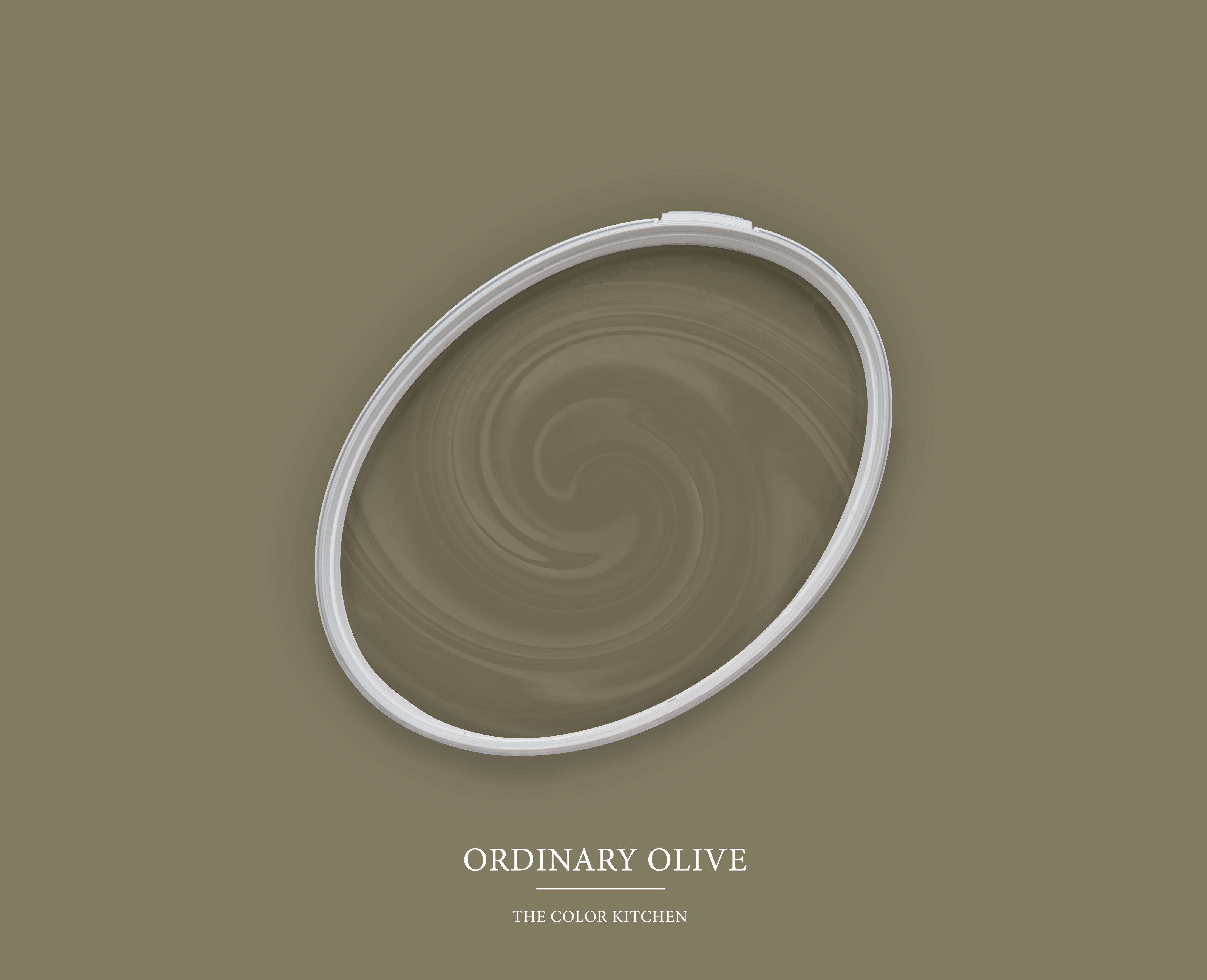 The Color Kitchen Ordinary Olive 2,5 l