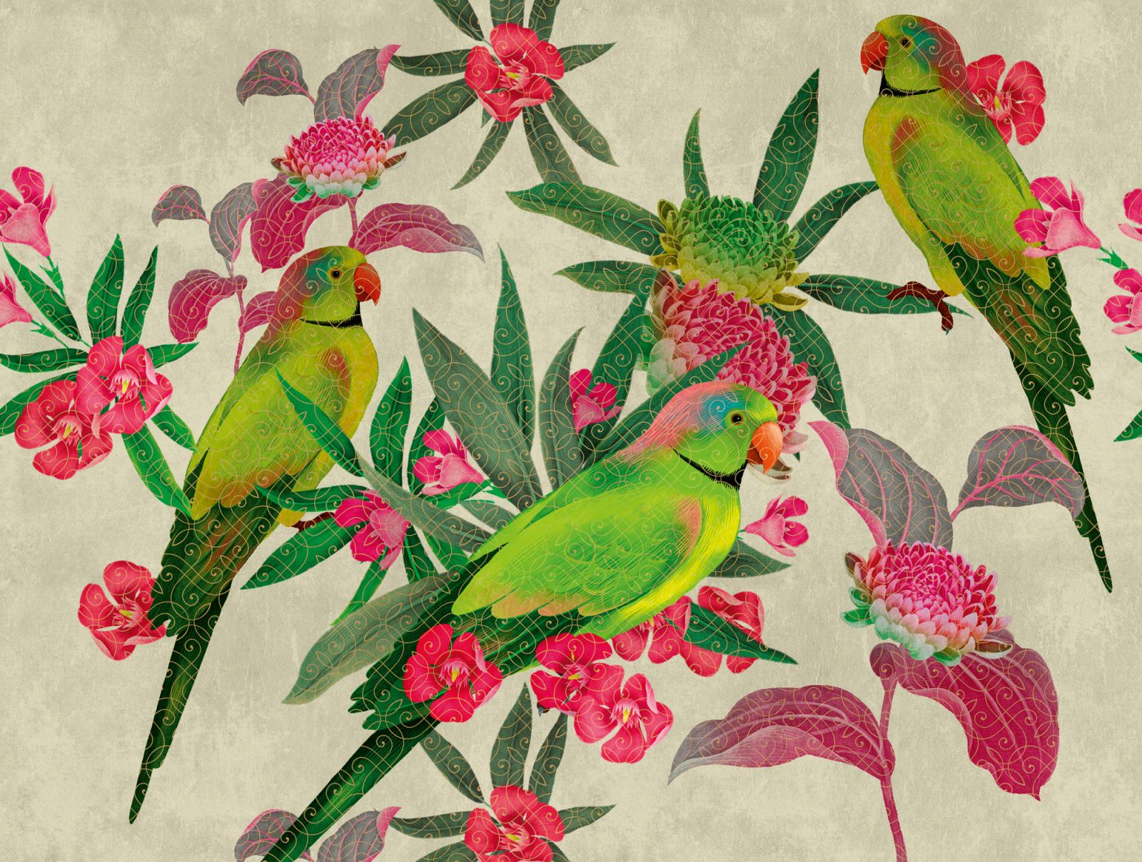 The Wall - Green Parrot  - Grün, Rosa, Rot