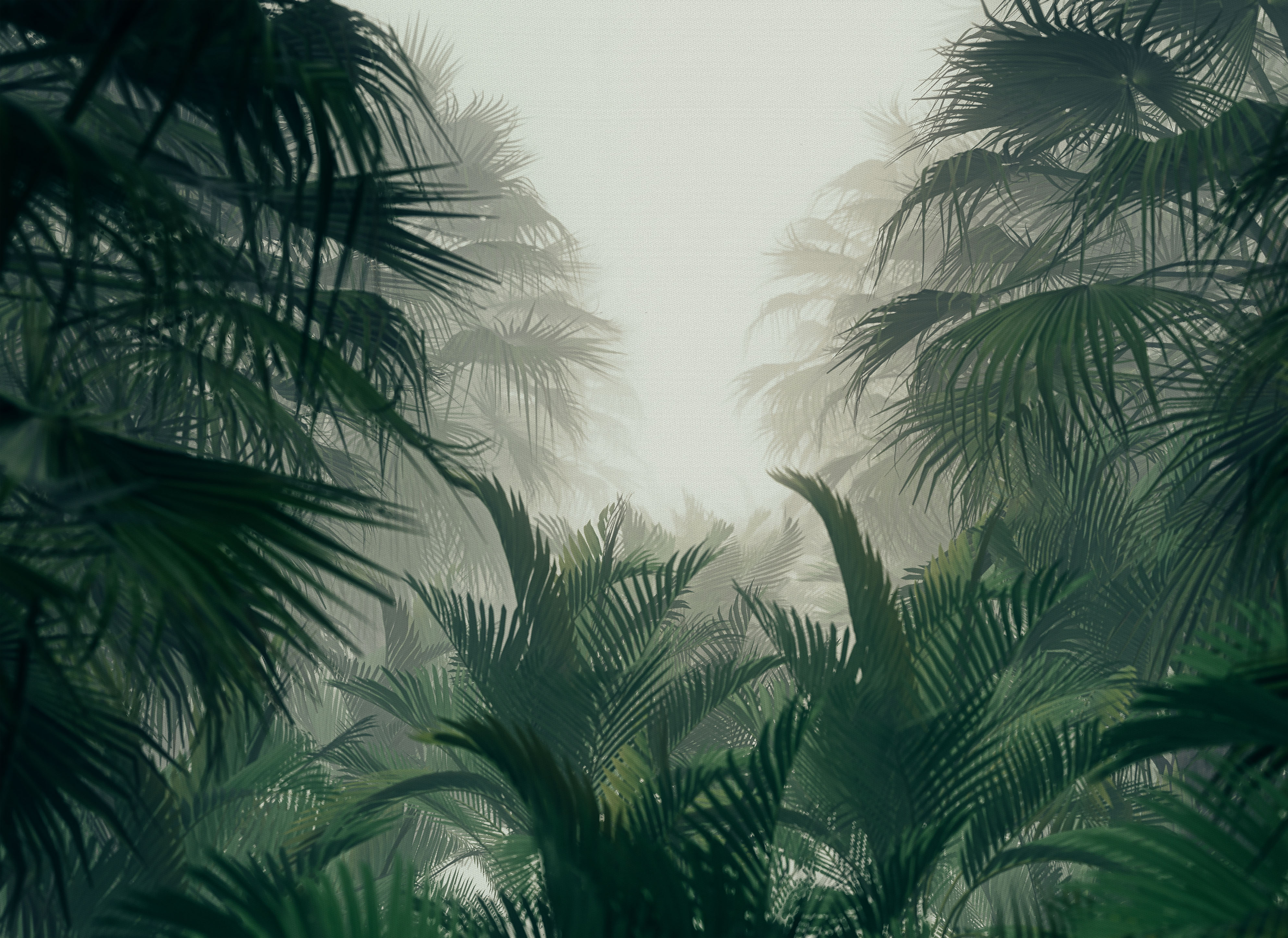 FOTOTAPETE PalmForest für SCHLAFZIMMER 3,50 m x 2,55 m (8,93 m²)